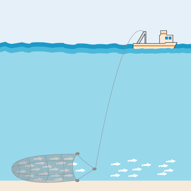 Commericial Fishing Commercial Fishing